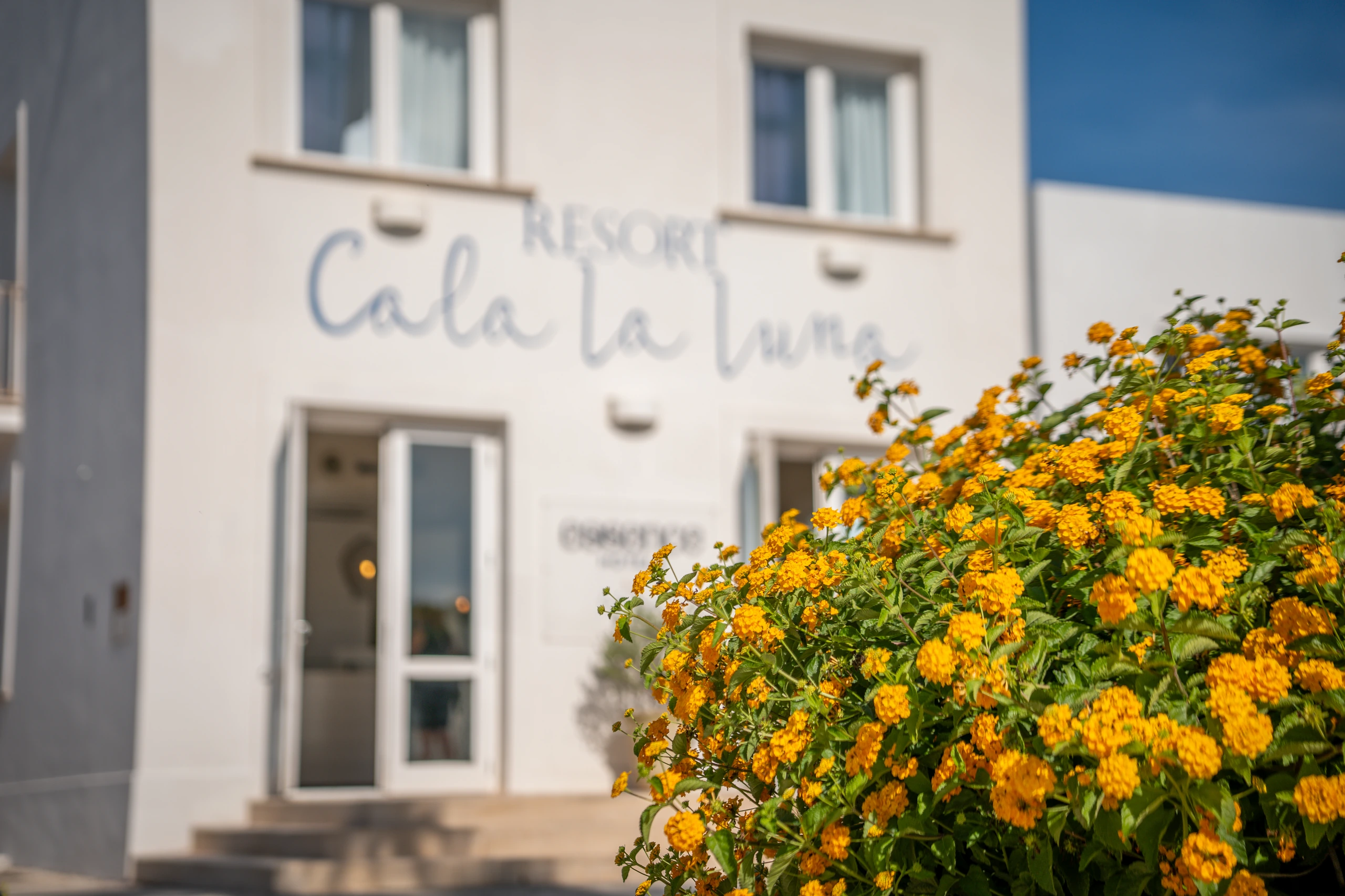 Ingresso di Cala La Luna Resort con insegna e agrumi